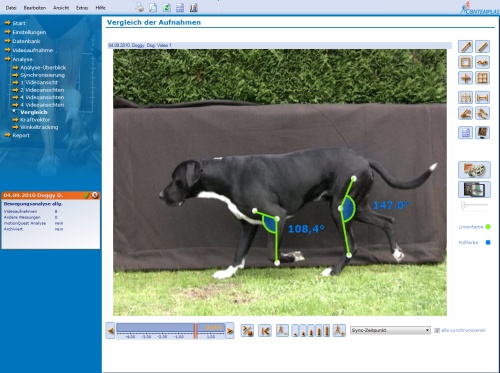 Winkelbestimmung Veterinaermedizin