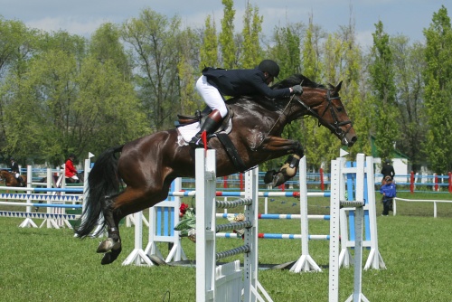 Beweegungsanalyse Springreiten