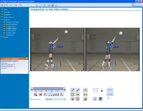Volleyball