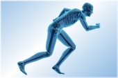 Biomechanik