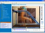 Laufband-Analyse Videomix