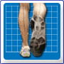 Laufschuhberatung: Schuhvergleich